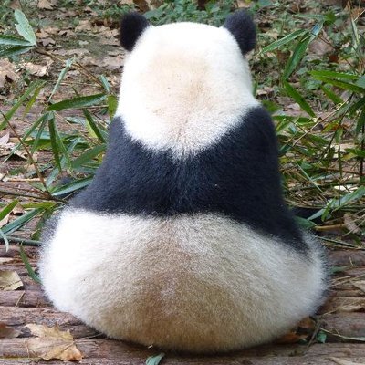 Avatar von Panda