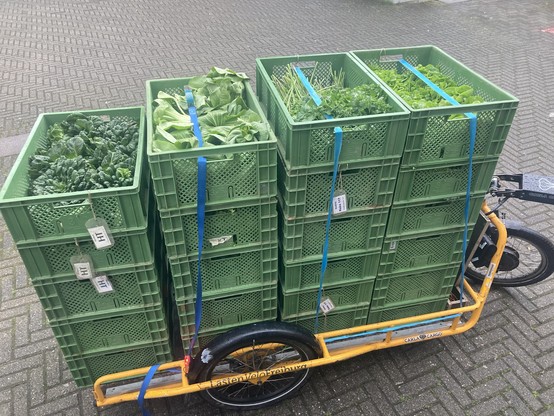 Foto einer Carla Cargo, einem Lastenanhänger fürs Rad, beladen mit vielen Kisten voller grünem Gemüse.
