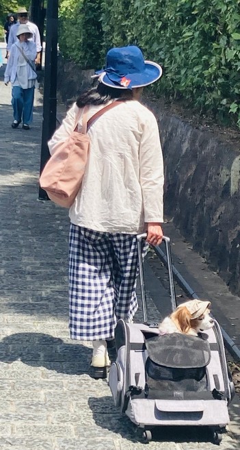 A Woman with a hat Carries a dog  with a hat