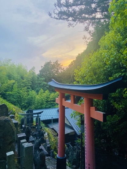 Toriij in Kyoto (Japan) steht im Wald. Im Hintergrund geht die Sonne unter.