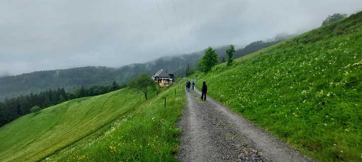 Wanderung zur Höfner Hütte