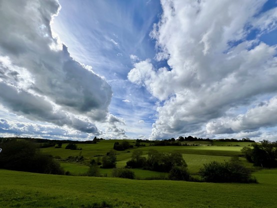 The picture shows a green field with a blue sky and white clouds. There are some trees in the distance and the sun is shining brightly.