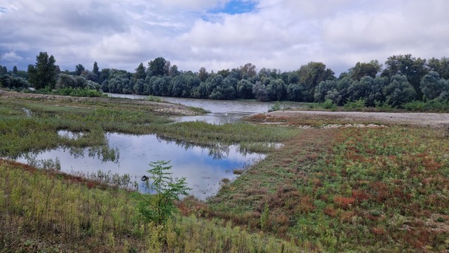 Der Rhein mit einem Überlaufbereich